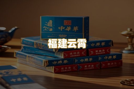 福建云霄